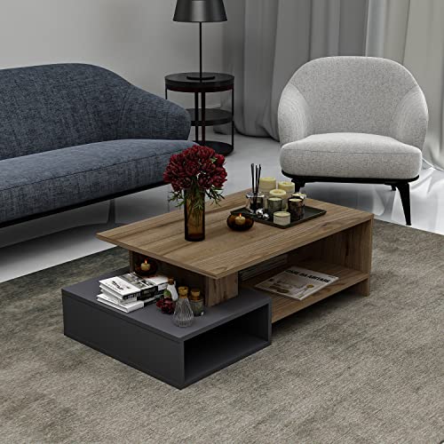 HOMIDEA DUX Niedriger Couchtisch - Material aus Holz - Couchtisch - Moderner Kaffeetisch im trendigen Design mit Regal (Anthrazit / Briarsmoke) von Homidea