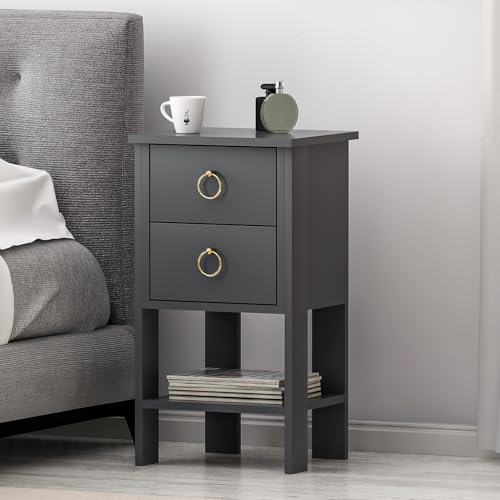 Homidea CEVHER Nachttisch - Nachtkommode - Ablagetisch - Nachtschrank mit 2 Schubladen und Regal – 40 x 35 x 73,8 cm – Moderner Beistelltisch fürs Schlafzimmer (Anthrazit) von Homidea