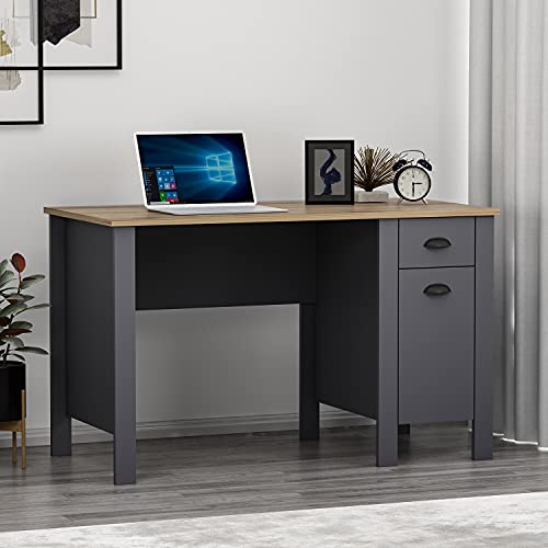 HOMIDEA TEDDY Schreibtisch - Computertisch - Workstation mit Schublade und Stauraum mit Tür im modernen Design für Home Office oder Kinderzimmer (Antrachite/Briarsmoke) von Homidea