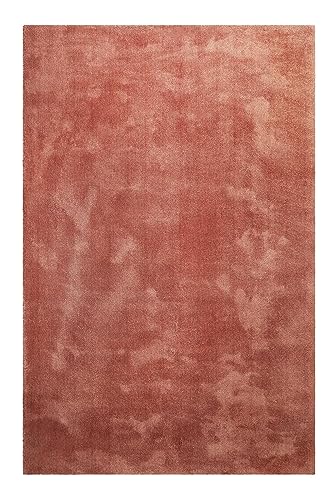Homie Living Hochflor Teppich, modern, kuschelige, weich, flauschig für Wohnzimmer, Schlafzimmer und Kinderzimmer Sienna (Rot Braun, 80 x 150 cm) von Homie Living