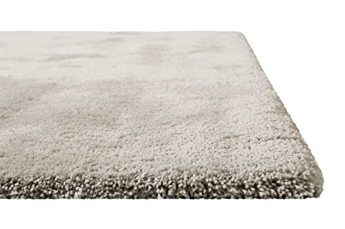 Homie Living I Hochflor Teppich Uni I Modern, weich, flauschig, kuschelig I Für Wohnzimmer Schlafzimmer I Pisa I (70 x 140 cm, Beige) von Homie Living