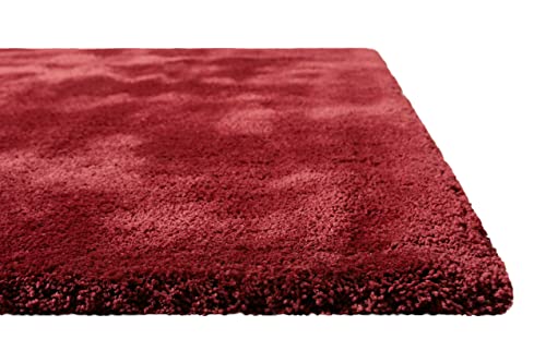 Homie Living Teppich - Läufer, kuschelig weich und sehr flauschig, Hochflor, Shaggy bestens geeignet für Wohnzimmer, Flur, Schlafzimmer, Kinderzimmer I Pisa I (80 x 150 cm, Rot) von Homie Living