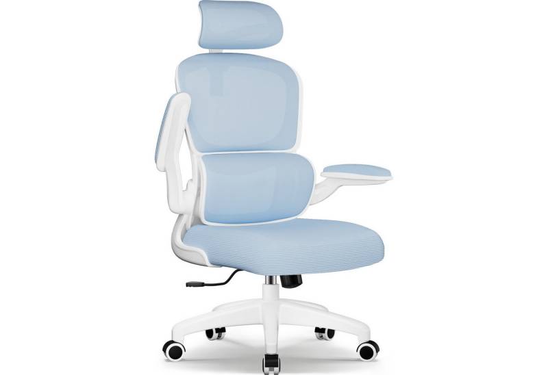 Homimaster Bürostuhl Bürostuhl, Schreibtischstuhl Ergonomisch mit Klappbaren Armlehnen (Bürostuhl mit Verstellbarer Kopfstütze, 90° Klappbare Armlehnen und Lendenwirbelstütze, Höhenverstellbarer Chefsessel aus Mesh), Bürostuhl mit maximaler Neigung von 135°, bis 150 kg belastbar von Homimaster