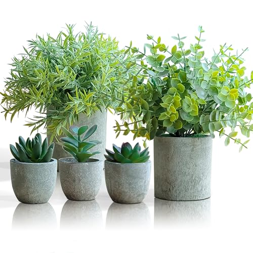 Homkuo Künstliche Pflanzen, Klein Kunstpflanzen wie echt im Topf, Mini Deko Pflanzen für Büro Küchen Badzimmer Wohnzimmer Schlafzimmer Schreibtisch, Fake Plant Künstlich Sukkulenten Eukalyptus von Homkuo