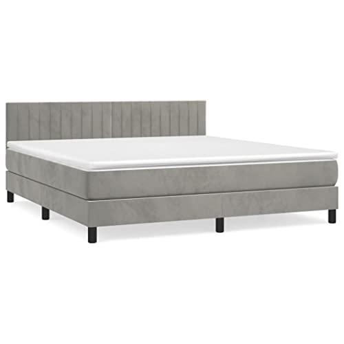 Hommdiy Boxspringbett mit Matratze Hellgrau 180x200 cm SamtVertikale Streifen von Hommdiy