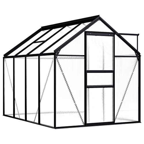 Hommdiy Gewächshaus UV-beständig Wärmeisoliert Treibhaus Tomatenhaus Frühbeet Garten Pflanzenhaus Gartenhaus Anthrazit Aluminium 4,76 m²,190 x 250 x 125/195 cm von Hommdiy