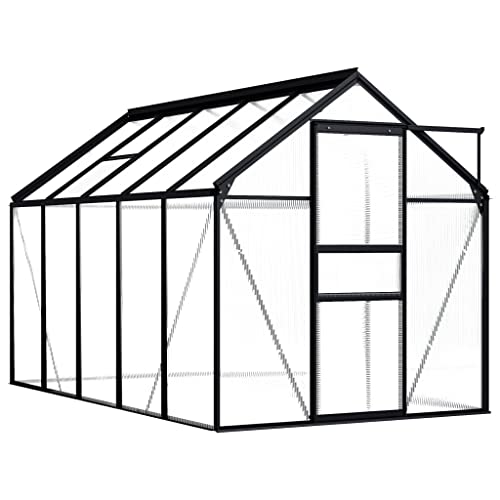 Hommdiy Gewächshaus UV-beständig Wärmeisoliert Treibhaus Tomatenhaus Frühbeet Garten Pflanzenhaus Gartenhaus Anthrazit Aluminium 5,89 m²,190 x 310 x 125/195 cm von Hommdiy