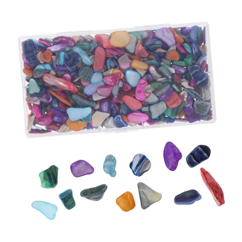 Homoyoyo 1 Schachtel Unregelmäßige Muschelfragmente Mosaiksteine Natürliche Deko Stücke Vielseitig für DIY Bastelarbeiten Vase Kerzenhalter Stifthalter Verzierung Hochwertige Bunte Shell von Homoyoyo