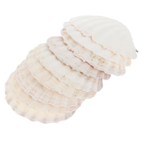 Homoyoyo 10 Stück Teiliges Natürliche Jakobsmuschel Teller Wiederverwendbare Muschelform Lebensmittelplatte für DIY Deko Aquarium und Tischdeko von Homoyoyo