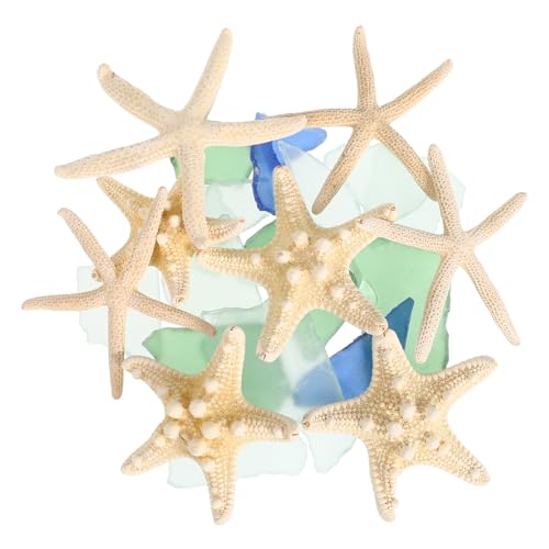 Homoyoyo 1satz Seeglas Dekorationen Mit Seesternen Und Muscheln Für Aquarium Und Vasen Natürliche Meeresglas Stücke Für Strand-Themen Deko Handwerk Und Wohnaccessoires Homoyoyo 1satz Seeglas Dekorationen Mit Seesternen Und Muscheln Für Aquarium Und Vasen Natürliche Meeresglas Stücke Für Strand-Themen Deko Handwerk Und Wohnaccessoires von Homoyoyo