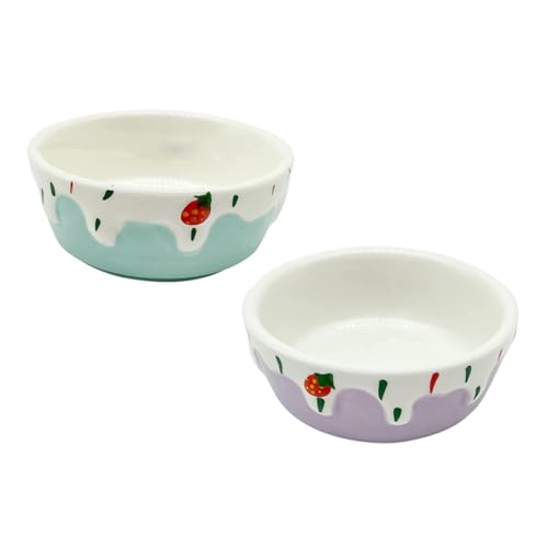 Homoyoyo 2 Stück Keramik Futterschale für Kleine Haustiere Teiliges Hamster Napf und Wasserschale Langlebig und Praktisch Geeignet für Hamster und Kleintiere Farblich Sortiert in und Blau von Homoyoyo
