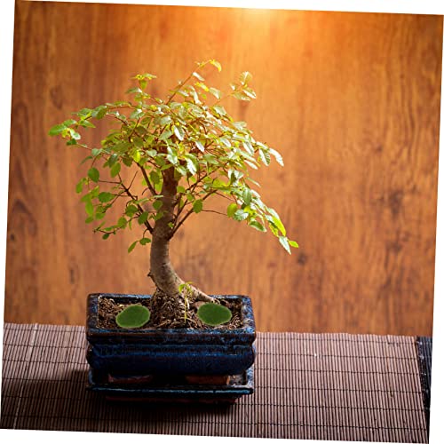 Homoyoyo 20 Stück Teiliges Micro Landscape DIY Realistisch Gestaltete Moosbedeckte Steine in Langlebig und Sicher Miniatur Bonsai Gartenornamente für Kreative Bastelprojekte und von Homoyoyo