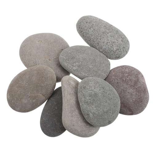 Homoyoyo 8 Stück DIY Bastelsteine zum Bemalen Glatte Flusskiesel für Kunstprojekte für Kreative Heimdekorationen und Malaktivitäten Wetterfest und Lehrreich von Homoyoyo