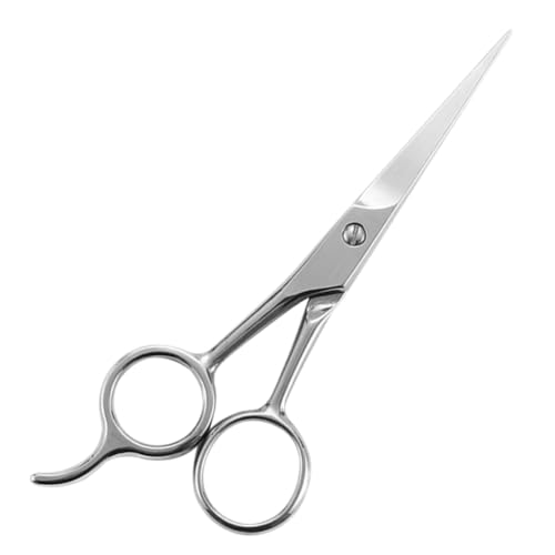 Homoyoyo Edelstahl Bartschere Präzise Haarschneideschere Langlebig Praktisches Bartpflegezubehör für Männer Kompakt Einfach zu Handhaben Robust Silberfarben von Homoyoyo