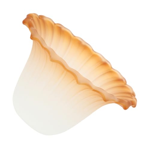 Homoyoyo Europäischer Mattierter Glasschirm Lampenschirm Deckenlampe Zubehör Mittelloch Langlebiger Lampenglas Ersatzteil für Wohnzimmer und Esszimmer Moderne Beleuchtung von Homoyoyo