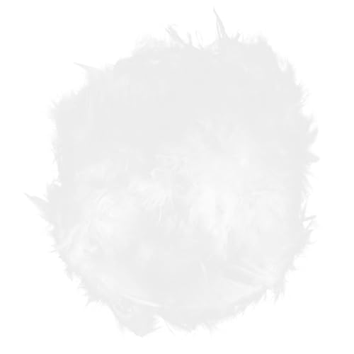 Homoyoyo Fluffy Lampenschirm Ersatz für Tischlampe Dekorativer Feder Lampenschirm Weich Lichtstreuend Romantisch Wohnzimmer und Schlafzimmer Geeignet von Homoyoyo
