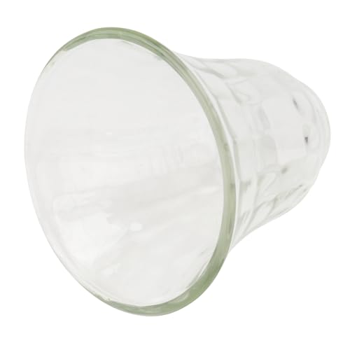 Homoyoyo Glas Lampenschirm Transparent Staubdicht Einfach Montage Glas Lampenabdeckung Dekorativ Wohnzimmer Schlafzimmer Beleuchtung von Homoyoyo