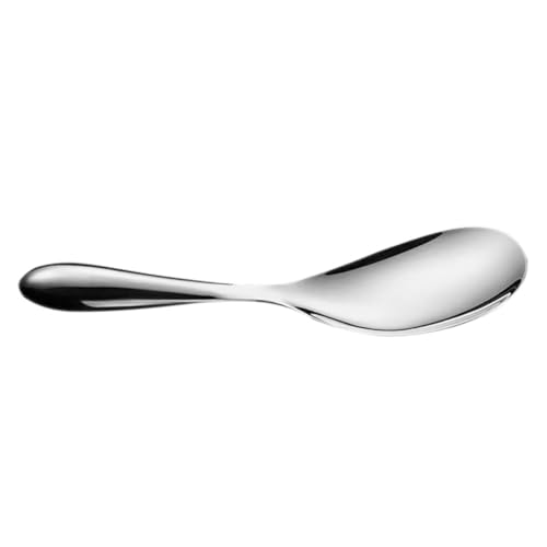 Homoyoyo Küchenreislöffel Reiskelle Stahlreis Löffel Küche Küchenlöffel Großer Reisspatel Reis Küchenutensilien Scoop Reisschaufel Multifunktion Mit Kochen Schöpflöffel Silber 401 Edelstahl von Homoyoyo