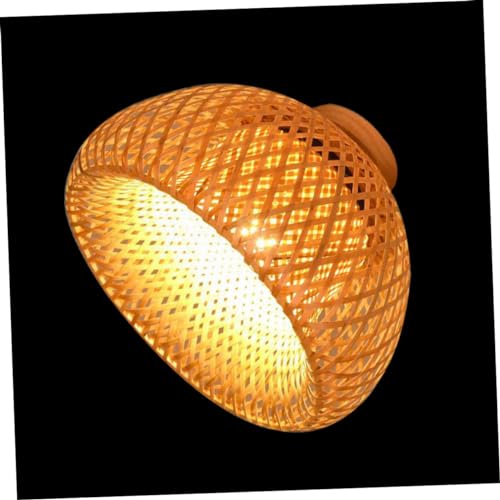 Homoyoyo Lampenschirm Handgewebter Vintage Stil Durchmesser für Schlafzimmer Wohnzimmer und Kreative Räume Weichzeichnende Lichtabdeckung für Angenehme Homoyoyo Lampenschirm Handgewebter Vintage Stil Durchmesser für Schlafzimmer Wohnzimmer und Kreative Räume Weichzeichnende Lichtabdeckung für Angenehme von Homoyoyo