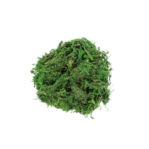 Homoyoyo 3taschen Getrocknetes Naturmoos Blumentopf Landschaftsmoos Konserviertes Moosornament DIY Moos Naturmaterial Für Heimgartenkunst von Homoyoyo