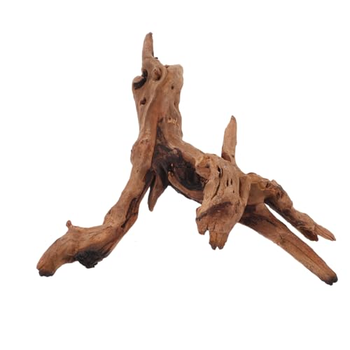 Homoyoyo Natürliche Aquarium Dekoration Wurzel Stabile Wurzel mit Breitem Fuß Vielseitig für Aquarien und Terrarien Geeignet Einzigartig Geformt und Langlebig Homoyoyo Natürliche Aquarium Dekoration Wurzel Stabile Wurzel mit Breitem Fuß Vielseitig für Aquarien und Terrarien Geeignet Einzigartig Geformt und Langlebig von Homoyoyo
