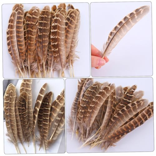 Homoyoyo Natürliche Fasanenfedern DIY Bastelmaterialien Langlebig Farbenfroh Formbar für Dekorationen Vase Dekoration und Handwerksprojekte Homoyoyo Natürliche Fasanenfedern DIY Bastelmaterialien Langlebig Farbenfroh Formbar für Dekorationen Vase Dekoration und Handwerksprojekte von Homoyoyo