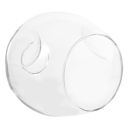 Homoyoyo Ovaler Glas Lampenschirm Ersatz Transparent Hochwertiges Glas Langlebig Dekorative Pendelleuchte Abdeckung für Tischlampe Einfach zu Montieren Warmes Licht Robustes Design von Homoyoyo