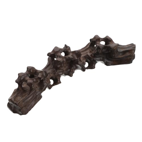 Homoyoyo Roter Holz Stifthalter Kalligraphie Pinselhalter mit Wurzel Schnitzerei Langlebiger Pinselständer für Schreibutensilien Multifunktional als Schreibtischdekoration Leicht und Homoyoyo Roter Holz Stifthalter Kalligraphie Pinselhalter mit Wurzel Schnitzerei Langlebiger Pinselständer für Schreibutensilien Multifunktional als Schreibtischdekoration Leicht und von Homoyoyo