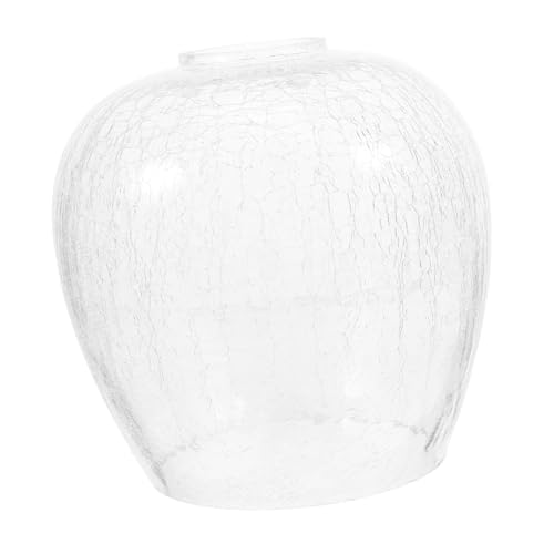 Homoyoyo Transparente Pendelleuchte mit Fassung Diy Kreative Wandlampe Einzigartiges Design für Wohnzimmer und Schlafzimmer Homoyoyo Transparente Pendelleuchte mit Fassung Diy Kreative Wandlampe Einzigartiges Design für Wohnzimmer und Schlafzimmer von Homoyoyo