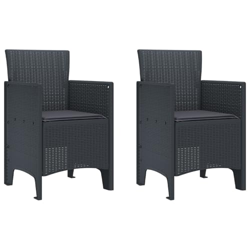 Homvdxl Kunststoff Outdoor Esszimmerstühle 2er Set, Rattan Optik Terrasse Gartenstühle mit Kissen/für Garten/Rasen/Veranda/Hinterhof/Pool, 53x49x85cm - Anthrazit von Homvdxl