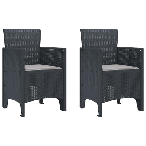Homvdxl Outdoor Esszimmerstühle 2er Set Rattan Optik Terrasse Gartenstühle mit Kissen/Rückenlehne/Armlehnen für Garten/Rasen/Veranda/Hinterhof/Pool - Anthrazit Homvdxl Outdoor Esszimmerstühle 2er Set Rattan Optik Terrasse Gartenstühle mit Kissen/Rückenlehne/Armlehnen für Garten/Rasen/Veranda/Hinterhof/Pool - Anthrazit von Homvdxl