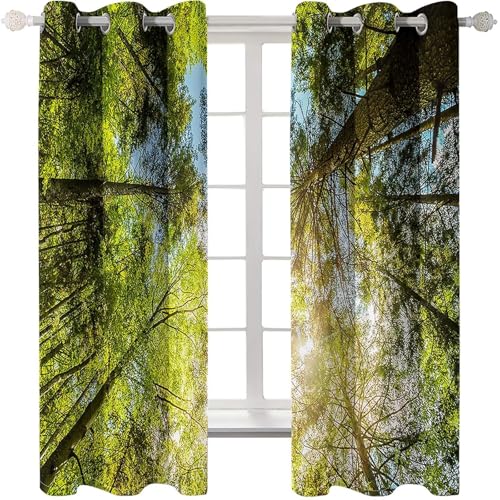Homxi 2er Set Gardine Blickdicht Kinderzimmer,2 x 234W x 214H cm,Ösenvorhang Wohnzimmer Bäume und Himmelslandschaft Braun Grün Gardinen für Wohnzimmer Modern Homxi 2er Set Gardine Blickdicht Kinderzimmer,2 x 234W x 214H cm,Ösenvorhang Wohnzimmer Bäume und Himmelslandschaft Braun Grün Gardinen für Wohnzimmer Modern von Homxi