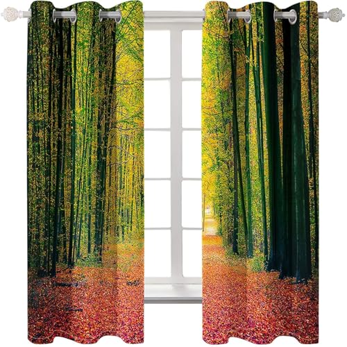 Homxi 2er Set Gardinen Kinder Blickdicht,2 x 152W x 244H cm,Ösenvorhang Gardine Waldpfad Landschaft Vorhänge Modern Küchen Grün Fuchsie Homxi 2er Set Gardinen Kinder Blickdicht,2 x 152W x 244H cm,Ösenvorhang Gardine Waldpfad Landschaft Vorhänge Modern Küchen Grün Fuchsie von Homxi