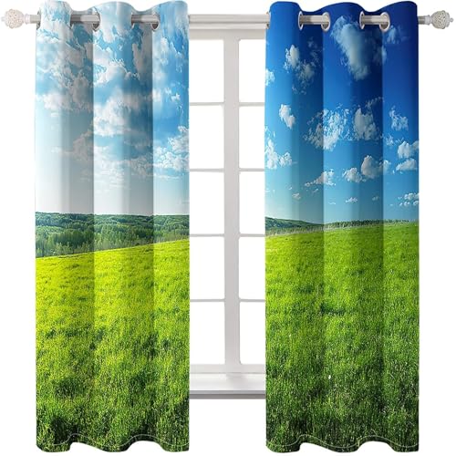 Homxi Lichtdichte Vorhänge Blackout 2er Set,2 x 214W x 183H cm,Ösenvorhang Schlafzimmer Rasen und Himmel Landschaft Blau Grün Gardine Vorhang für Küchen von Homxi