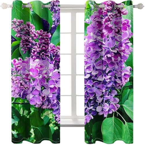 Homxi Vorhänge Blickdicht Kinder 2er Set,2 x 86W x 229H cm,Ösenvorhang Gardine Lavendellandschaft und Blätter Gardinen Modern Küchen Lila Grün Homxi Vorhänge Blickdicht Kinder 2er Set,2 x 86W x 229H cm,Ösenvorhang Gardine Lavendellandschaft und Blätter Gardinen Modern Küchen Lila Grün von Homxi