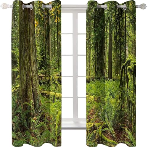 Homxi Vorhang Blickdicht Kinderzimmer 2er Pack,2 x 214W x 214H cm,Ösenvorhang Modern Bäume Landschaft Grün Vorhang Küchen Modern Homxi Vorhang Blickdicht Kinderzimmer 2er Pack,2 x 214W x 214H cm,Ösenvorhang Modern Bäume Landschaft Grün Vorhang Küchen Modern von Homxi