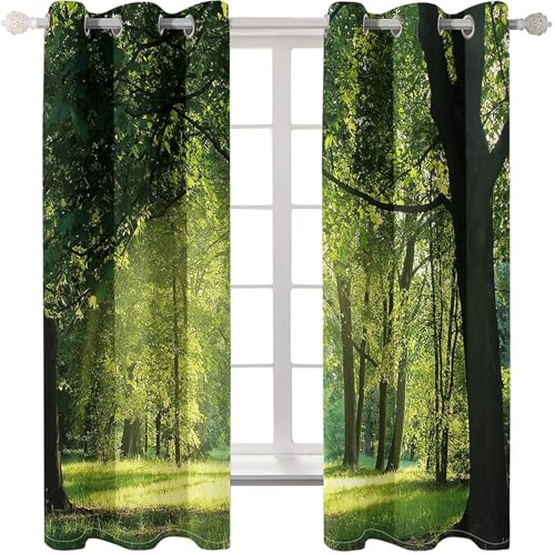 Homxi Vorhang Wärmeisolierend 2er Set,2 x 244W x 214H cm,Ösenvorhang Modern Bäume und Sonnenschein Landschaft Grün Gardinen Küchen Modern Homxi Vorhang Wärmeisolierend 2er Set,2 x 244W x 214H cm,Ösenvorhang Modern Bäume und Sonnenschein Landschaft Grün Gardinen Küchen Modern von Homxi