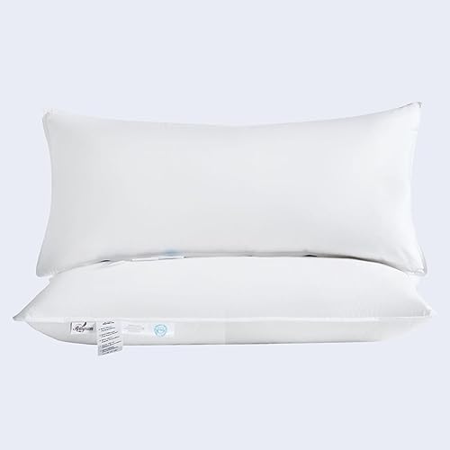 Homyrium Daunenkissen 40x80 2er Set Federkissen 40x80 Kopfkissen 2er Set, 800g Federkopfkissen mit Daunen Schlafkissen Federnfüllung, 100% Baumwollbezug, 2er Pack von Homyrium