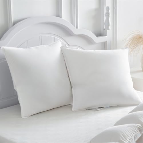 Homyrium Daunenkissen 60x60 2er Set Kopfkissen 60x60 Daunen Federkissen 3 Kammer Kissen mit 100% Daunen & Federn, Hotelqualität Schlafkissen 100% Baumwollbezug, Ökotex-Zertifiziert (900g, 2er Pack) von Homyrium