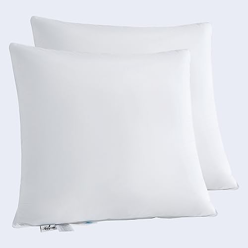 Homyrium Daunenkissen 80x80 2er Set Federkissen 80 x 80 cm Kopfkissen Daunen 1600g Federkopfkissen mit Daunen Schlafkissen Federnfüllung, 100% Baumwollbezug, 2er Pack von Homyrium