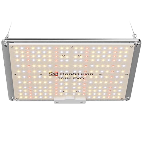 Hon&Guan Grow Lampe LED 100W, Vollspektrum Pflanzenlampe mit LM301H EVO, 6500K Wachstumslicht, Dimmbar Wachstumslampe, Zimmerpflanzen Grow Light für Growzelte Growtent Growzelt 60x60cm 40x40cm von Hon&Guan
