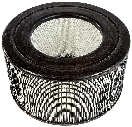 Honeywell CP170-hep HEPA Filter für Modell HA170E von Honeywell