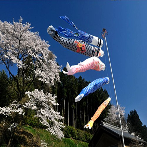 1 Set 5 Stück Japanische Flagge Carp Carp Banner Windsock Sailfish Koinobori Wind Streamer Mehrfarbig Fisch von Honfitat