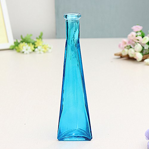 Bluelover Farbe Klar Mini Glas Vase Zakkz Flasche Glas Ornamente Blume Arrangieren Home Decor-Blau von Honfitat