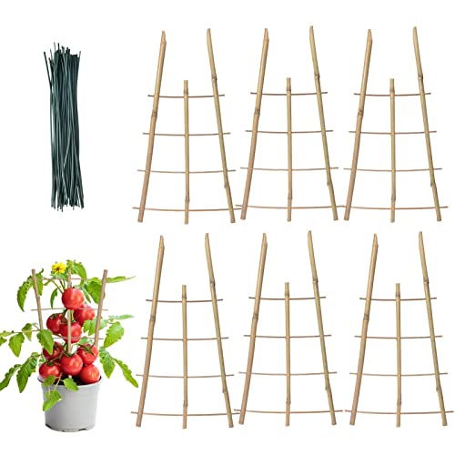 Hongjingda Bambusspalier, Quadratisches 6er-Pack Rankgitter aus natürlichem Bambus, Pflanzenstützspalier, Blumenspalierpfähle für Mini-Kletterpflanzen im Innenbereich, Topfpflanzen, Zimmerpflanzen von Hongjingda