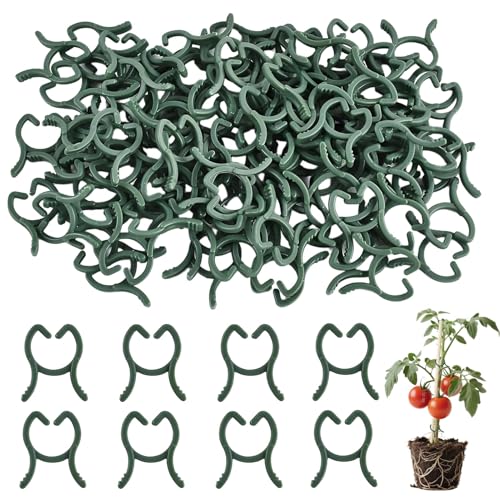 Hongoen 100 Stück Klein Pflanzenclips Grün, Pflanzenclips,Pflanzen Clips,Pflanzen Klammern,Pflanzenclips Für kletterpflanzen,Tonkinklammern,Stabile Klammern Für Kletterpflanzen Befestigung von Hongoen
