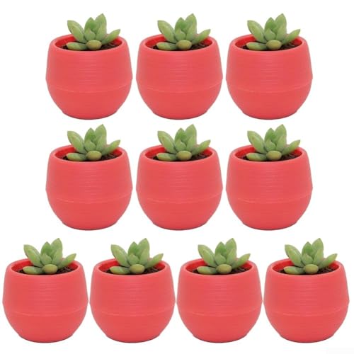 Dekorativer Blumentopf aus Kunststoff für Sukkulenten verschönern Ihre Ästhetik für Haus und Garten (rot) von Honseadek