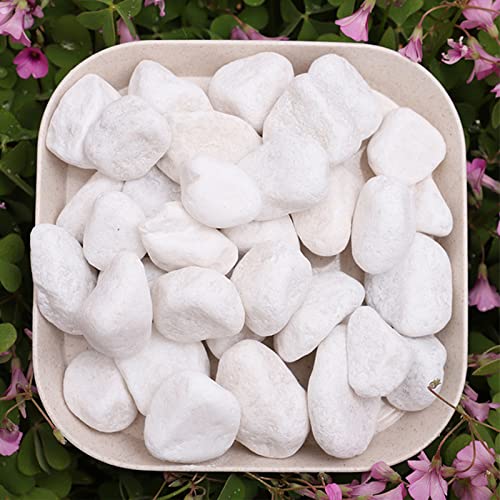 Hoobao Dekorative Steine,Marmorkies Carrara Kies,Kieselsteine Weiße Kies Dekosteine Naturstein Zierkies Kiesel,für Blumentöpfe Aquarium Garten Balkon,Grünpflanzen Mini Garten, 500g Hoobao Dekorative Steine,Marmorkies Carrara Kies,Kieselsteine Weiße Kies Dekosteine Naturstein Zierkies Kiesel,für Blumentöpfe Aquarium Garten Balkon,Grünpflanzen Mini Garten, 500g von Hoobao