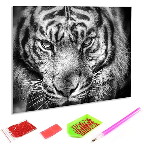 Hoobee 5D Diamond Painting DIY Set Tiger, Diamond Painting Bilder Tier, Vollbohrer Stickerei Kreuzstich Kunst Handwerk für Zuhause Wanddekoration (30×40 cm) von Hoobee