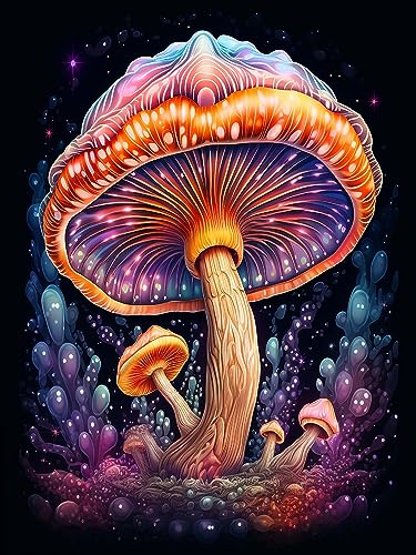 Hoobee 5D Diamond Painting Pilz, Diamond Painting Bilder Landschaft, Diamond Painting Erwachsene, Vollbohrer Stickerei Kreuzstich Kunst Handwerk für Zuhause Wanddekoration 30×40 cm-46 von Hoobee